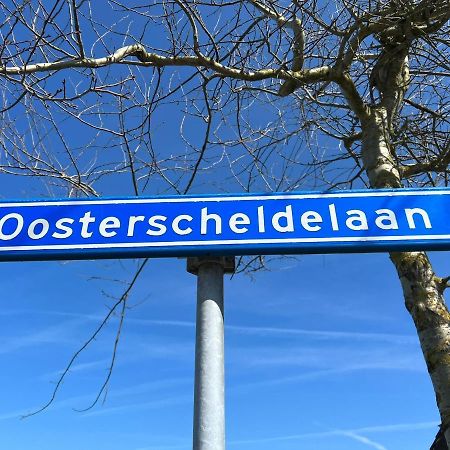Vakantiehuis Met Luxe Tuin Dichtbij Het Strand Kamperland Exteriér fotografie