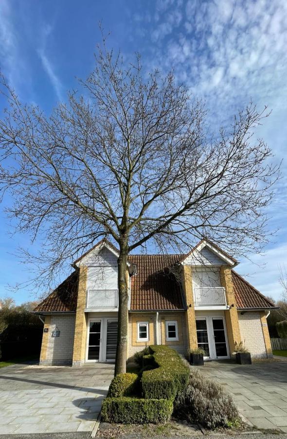 Vakantiehuis Met Luxe Tuin Dichtbij Het Strand Kamperland Exteriér fotografie